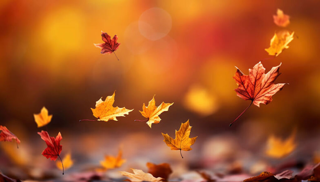 defocused-dry-autumn-leaves-nature (1)