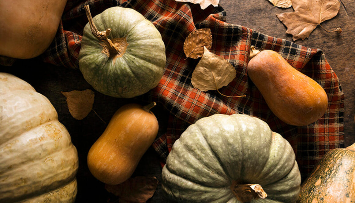 flat-lay-assortment-autumn-squash (1)