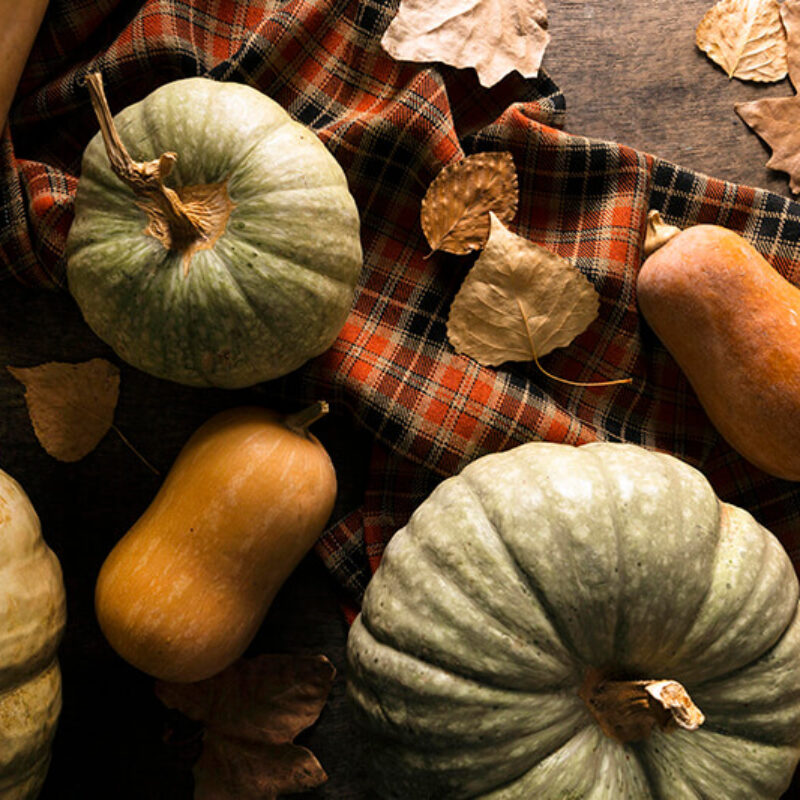 flat-lay-assortment-autumn-squash (1)