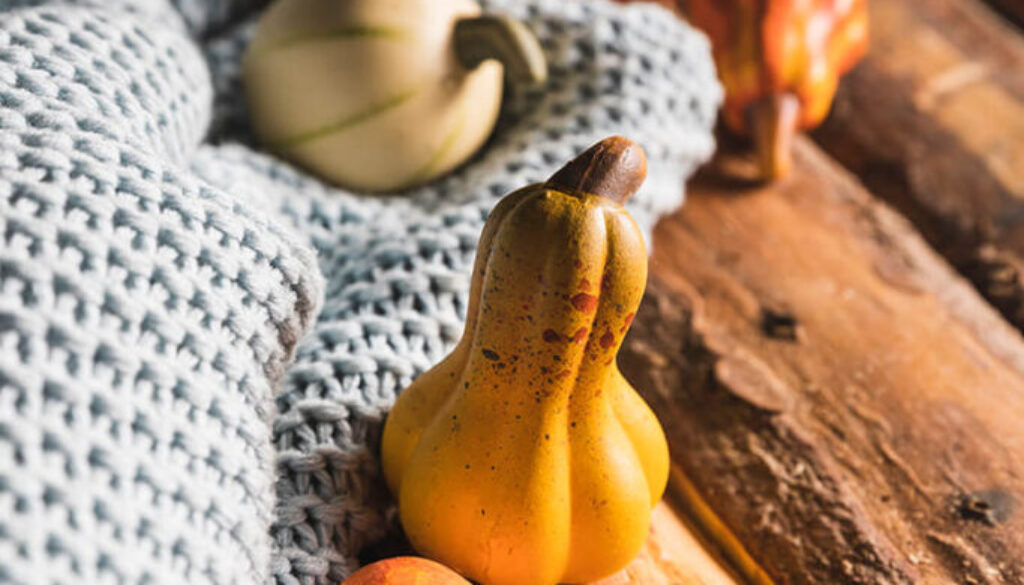 high-angle-small-pumpkins-wooden-table (1)