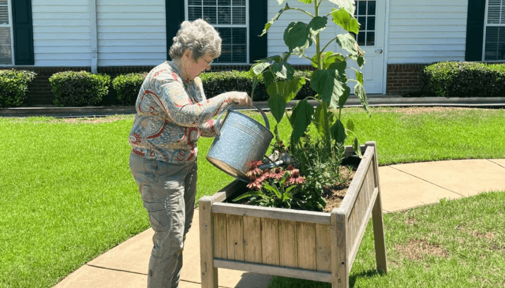 Cover Photo June 2025 (1) (1)